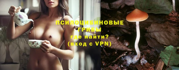 гидра Балахна
