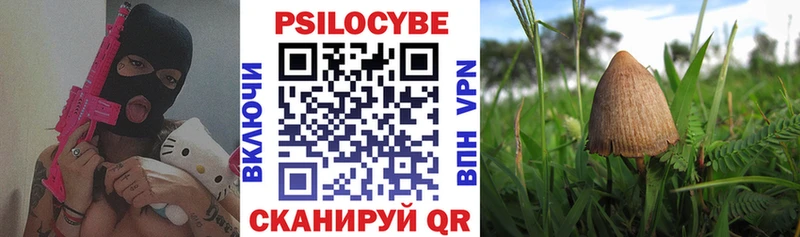Галлюциногенные грибы Psilocybe  Купить  Геленджик 